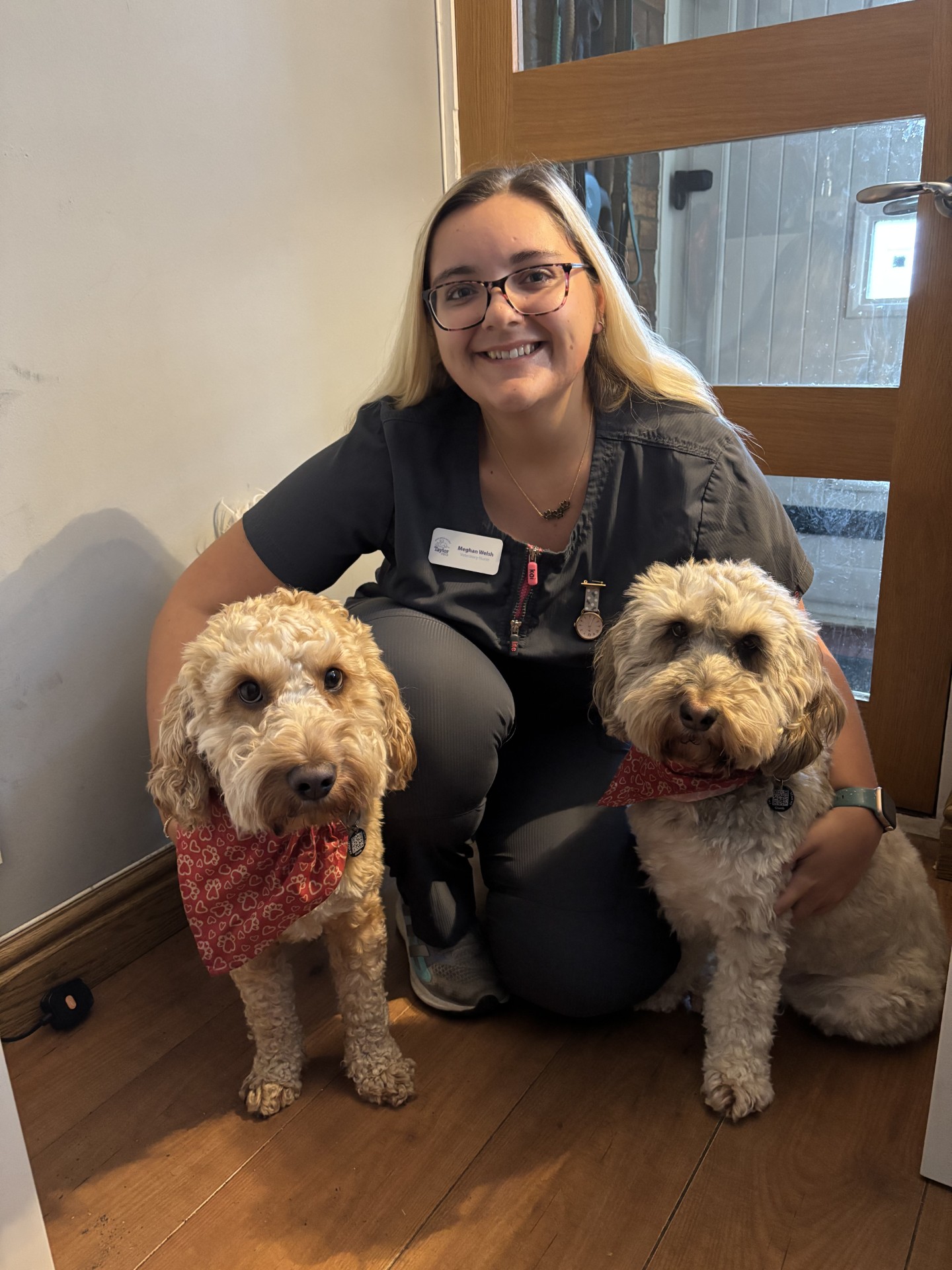 Meghan Welsh - Registered Veterinary Nurse