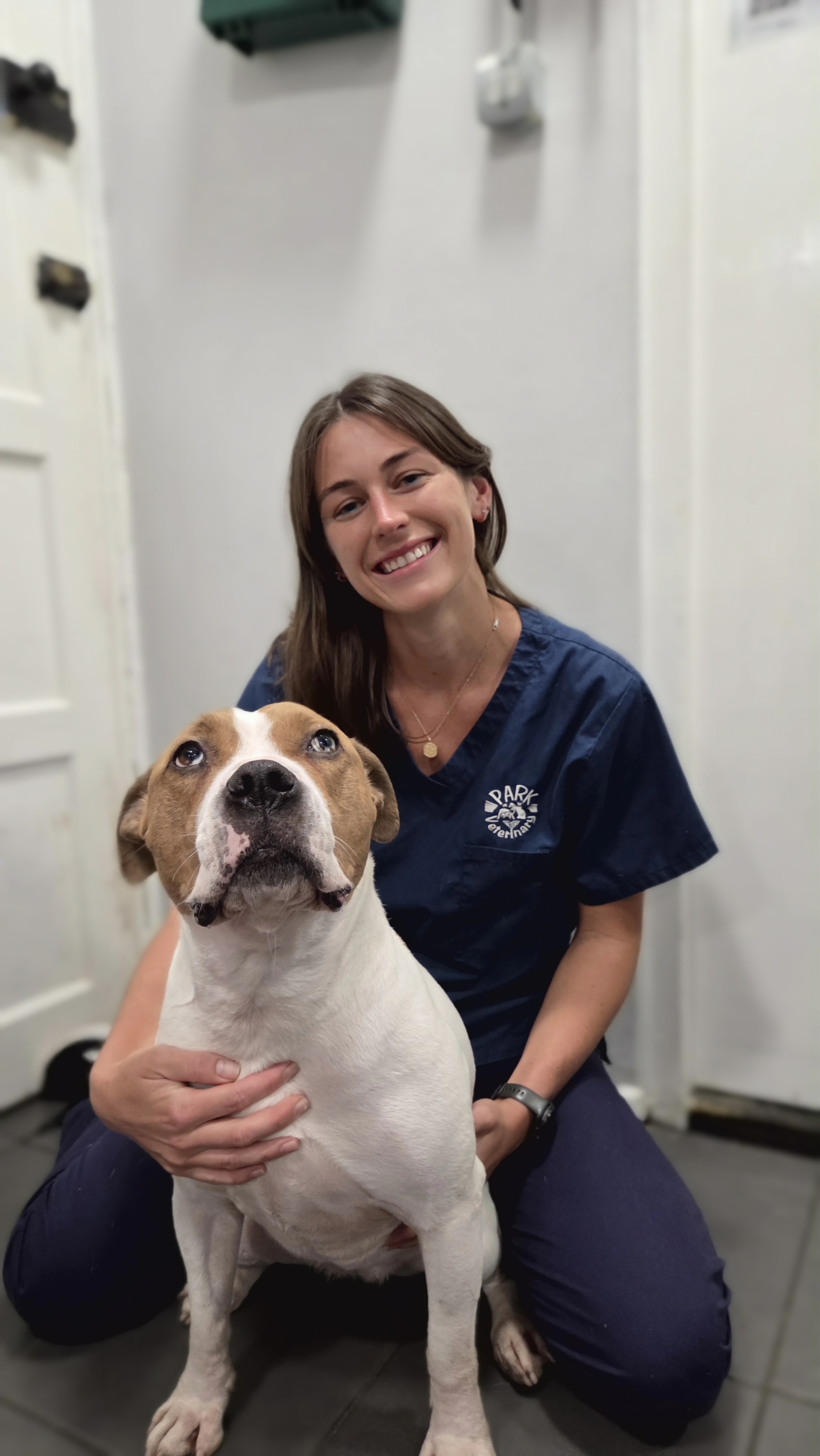Lauren Emsden BVetMed MRCVS