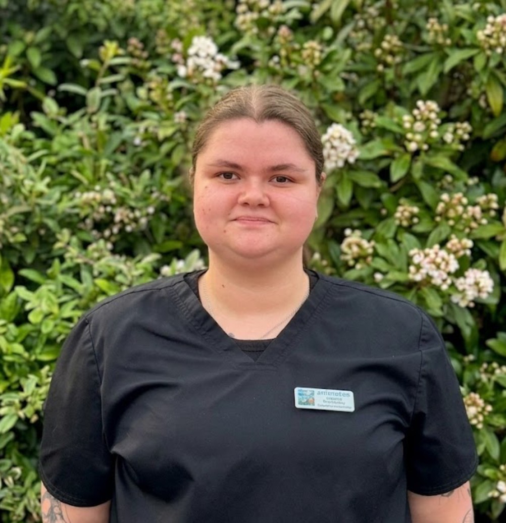 Deanna Mctrustery - Receptionist