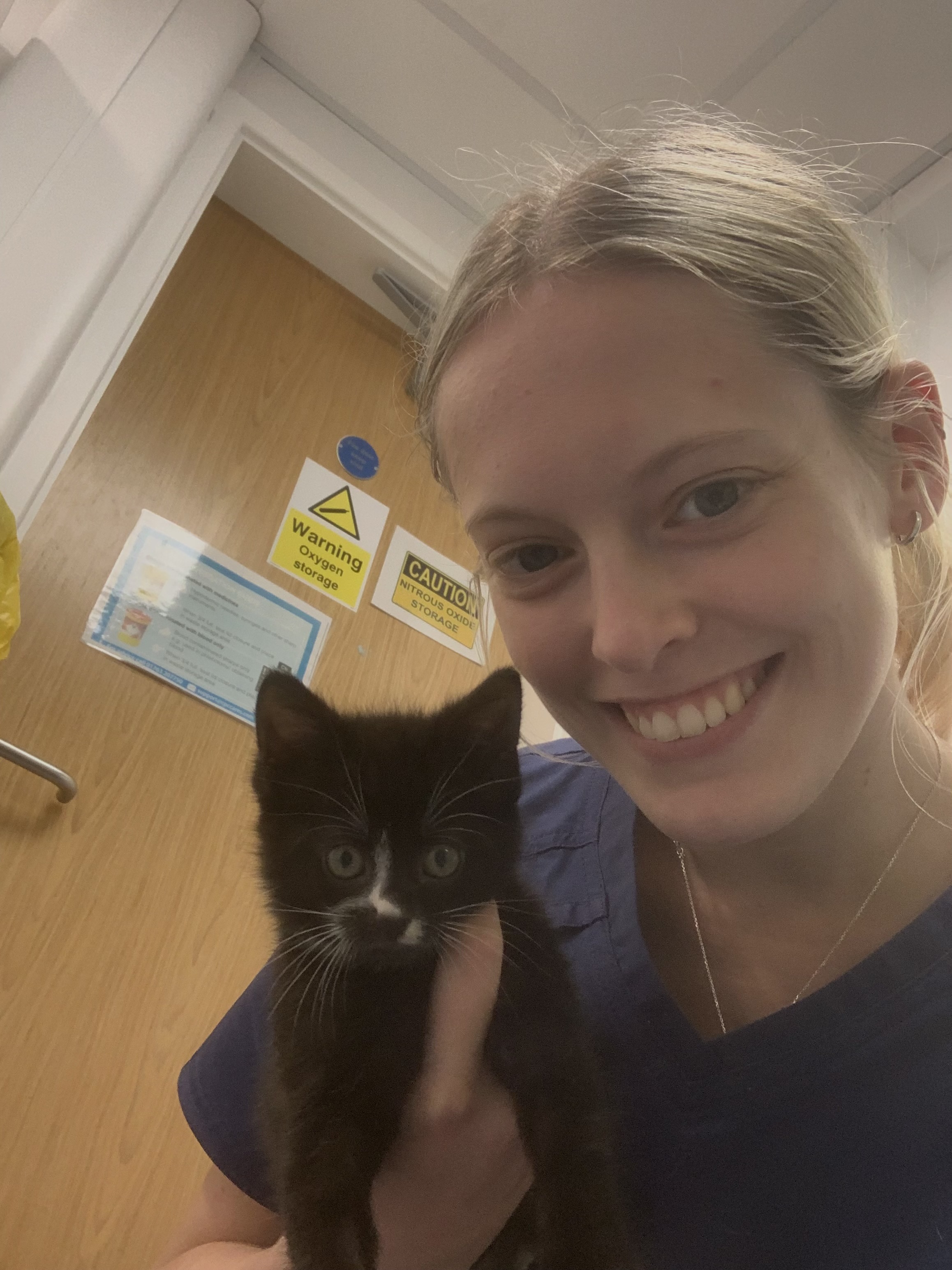 Amy Stewart - Veterinary Surgeon