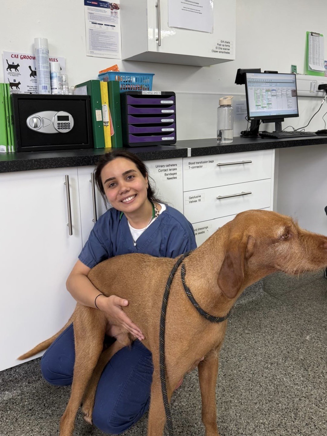 Ece Sarac-Mort - Veterinary Surgeon - Small Animal